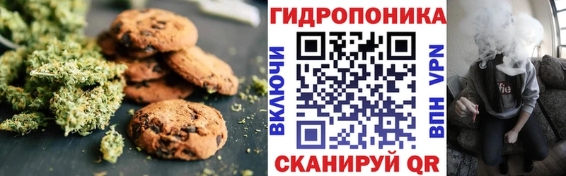 Купить закладки  Сурск  Cannafood марихуана 